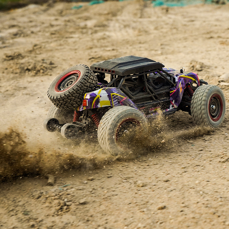 Adventurer Pro 1/16 4WD High-Speed 70KM/H+ Remote Control Car