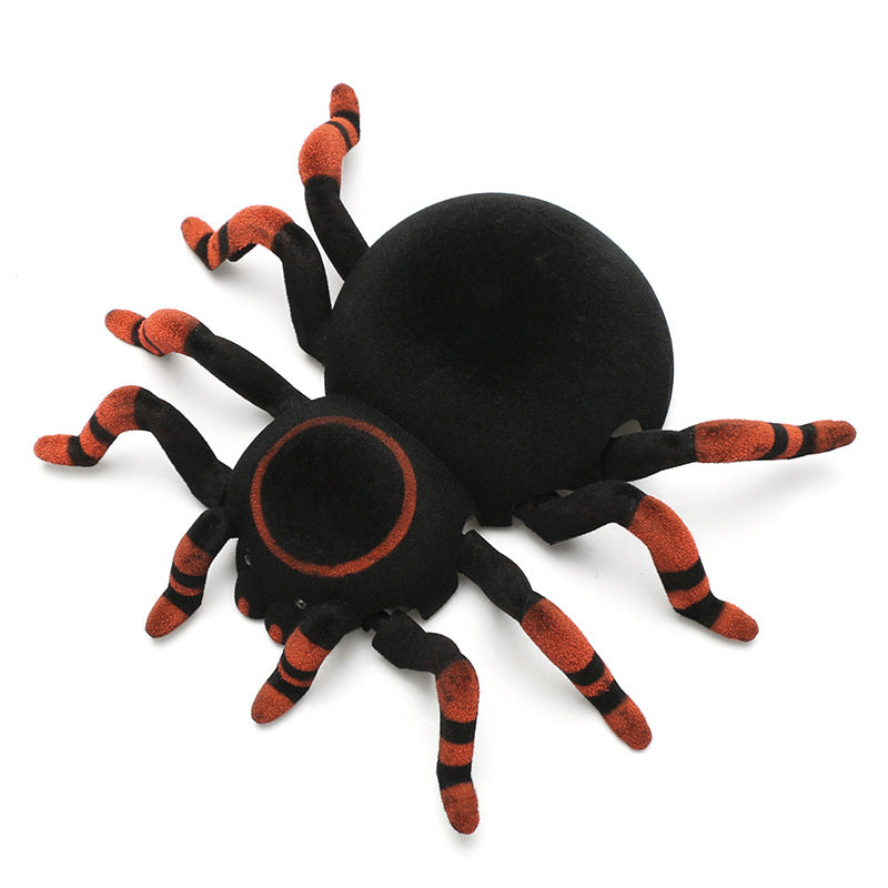 Remote Control Spider