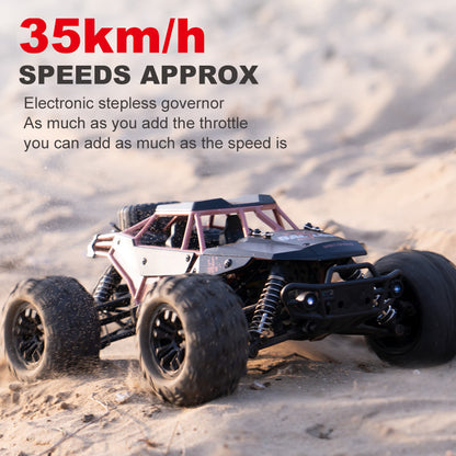 Gallop 1/16 4WD High-Speed 35KM/H+ Remote Control Car