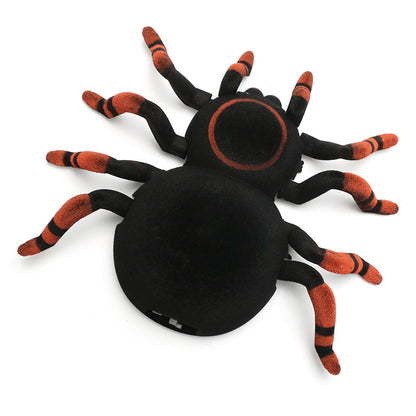 Remote Control Spider