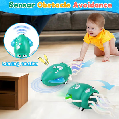 Dancing Crawling Squid