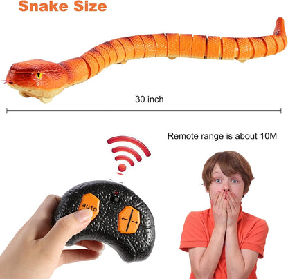 Remote Control Snake